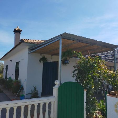 Alojamiento Rural La Perdiz La Puebla de los Infantes Exterior foto