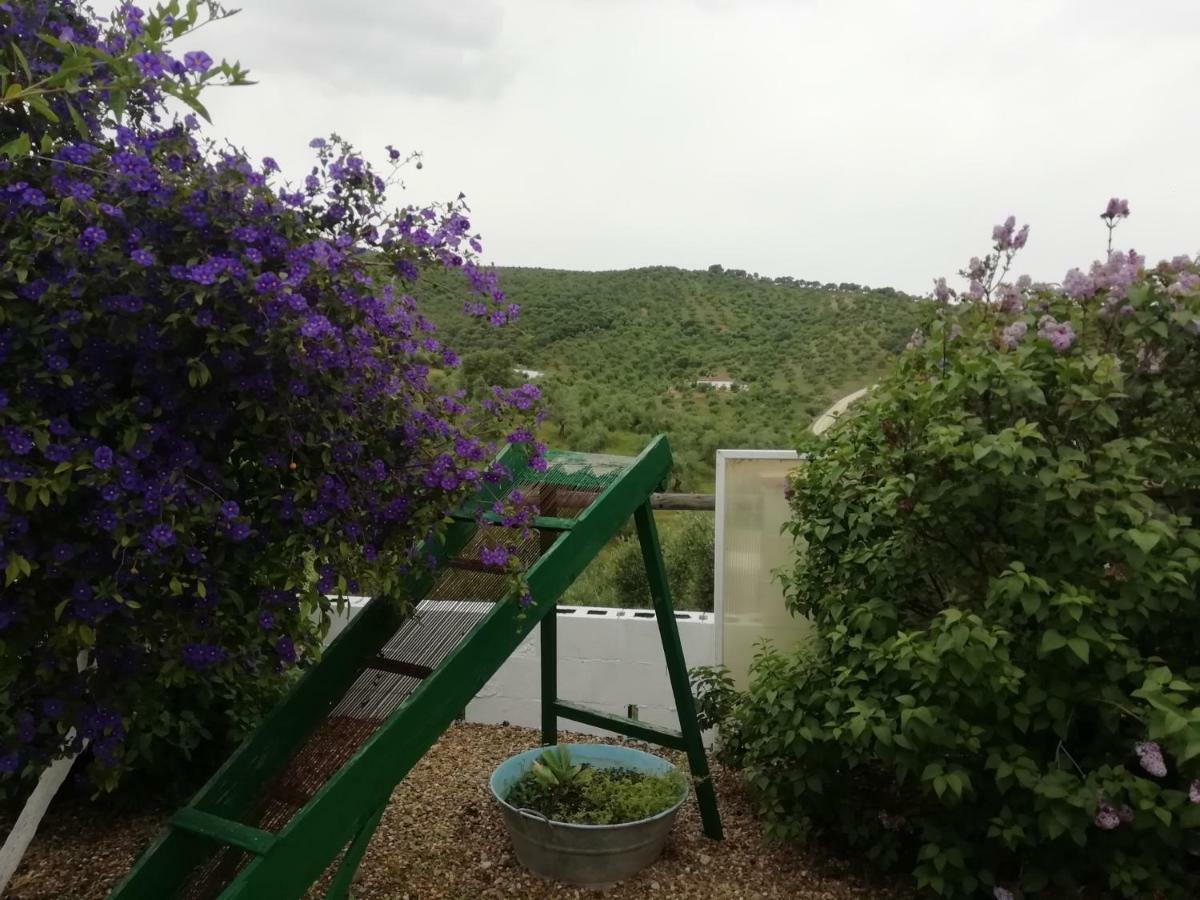 Alojamiento Rural La Perdiz La Puebla de los Infantes Exterior foto